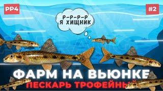 РР4 Фарм для новичков, точка клёва Вьюнок - Пескарь трофей - Русская Рыбалка 4