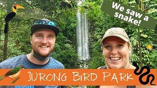 Jurong Bird Park Singapore - WHY DID WE SEE A SNAKE HERE?