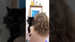 Натуральный уход за собой #haircare #curlyqueen #hair #skincare #skin