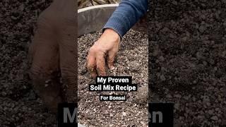 Proven Soil Mix for Bonsai #shorts #bonsai #gardening #howto