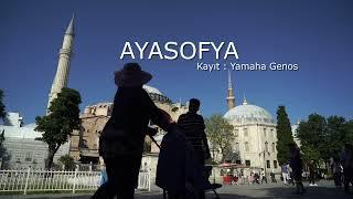 Ayasofya