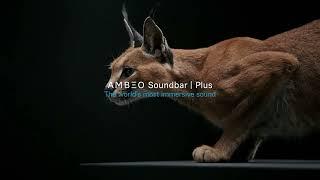 AMBEO Soundbars: The World's Most Immersive Sound | 6s | Tested in the Wild