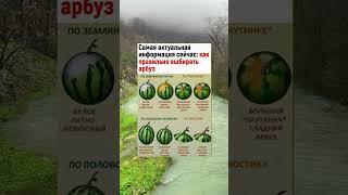 #здоровье #полезныесоветы #духовность #смыслжизни #мудрость