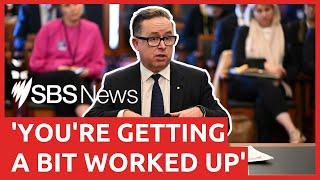 Five takeaways from Qantas CEO Alan Joyce's senate grilling | SBS News