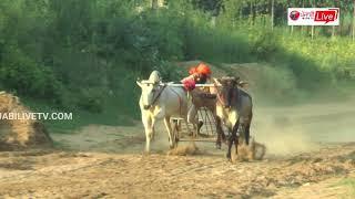 BEST OX RACE IN KHERI GUJJARAN  16 AUG 2018