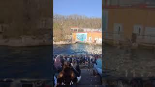 Зоопарк в Нюрнберге: носорог, морские котики и дельфины. Tiergarten Nürnberg: Nashörner, Bisamratten
