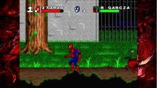 Hodgepodge. Долгое прохождение Maximum Carnage.