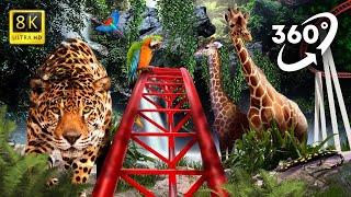 VR 360 VIDEO | WILD Animals watch from Roller Coaster ( Virtual Reality Experience )