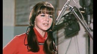 The Seekers - I'll Never Find Another You (HQ Stereo, 1964/'68)