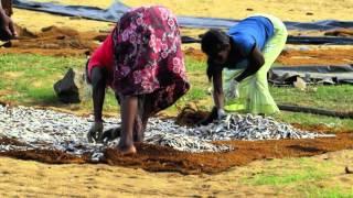 Erleben Sie Abenteuerliches Sri Lanka mit Asiatours.de