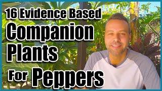 Companion Planting // 16 Companion Plants for Peppers!