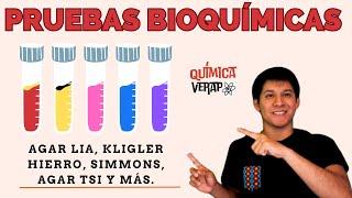 PRUEBAS BIOQUIMICAS Microbiología, Pruebas Bioquimicas identificación bacteriana Pruebas Bioquimicas