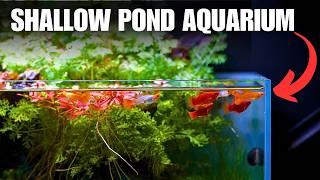 I Made An INDOOR POND AQUARIUM For Beautiful Guppies! Step By Step Tutorial