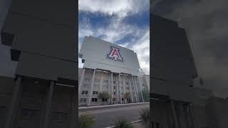 Bear Down Arizona