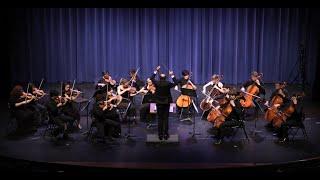 Suite for String Orchestra: "Moderato," Janacek