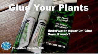 Flourish Glue for Plants Fincasters Episode 156