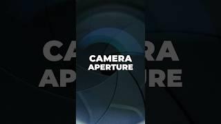 How Aperture Effects Your Camera