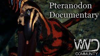 Pteranodon Documentary | WWD Beasts of Bermuda