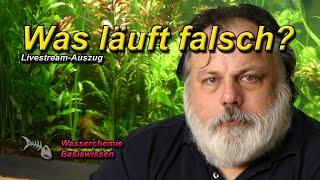 MYTHEN über Mythen - Wo finde ich gute Infos zu den aquaristischen Grundlagen?