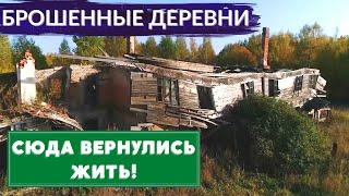 Заброшенные деревни под Питером. Русская Америка и урочище под водой | Другой Петербург. Архив