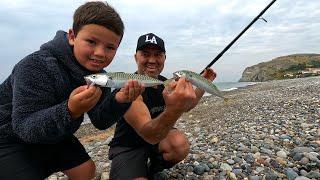 BASS & MACKEREL FISHING IN NORTH WALES | AUGUST BANK HOLIDAY 2024 | MASTERFISHERMAN | SEA FISHING UK