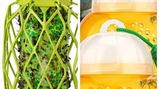 Side-by-Side Wasp Trap Battle Protecker "Catcher" and RESCUE! "Trapstik" Part 1 1st Setup (Will See)