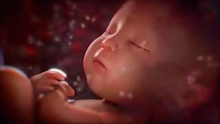 Звуки в утробе матери для сна малыша. Sounds in the womb To calm and sleep the baby.