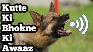 Kutte Ki Awaaz | Dog sound | Kutte ki Bhokne Ki Awaz | Dogs Barking | Dog Voice angry