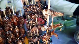 Скорпиони на клечка на улицата в Китай, Храната в Китай
