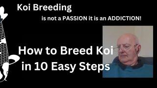 How to Breed Koi in 10 Easy Steps,