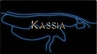 KASSIA Freehold New Condominium in the East of Singapore