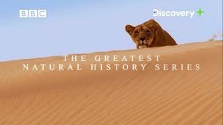 Iconic BBC shows, now streaming on Discovery Plus App