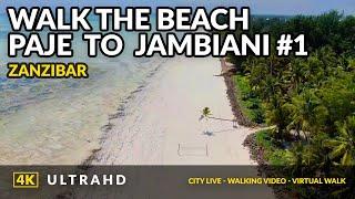 4K  Zanzibar - Beach Paje to Jambiani #1