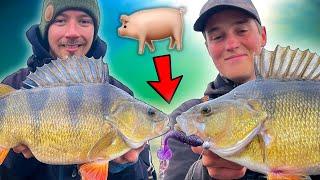 WE FISH THE SAME SPOT FOR 12 HOURS - Amazing Results!! | Team Galant
