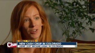 First Large-Scale Hemp Processing Plant In Colorado