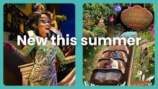 Summer 2024 at Disney World - 5 things you should know