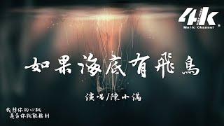 陳小滿 - 如果海底有飛鳥『如果海底有飛鳥 邂逅移動的孤島，那我們繞啊繞 是否也能再遇到。』【高音質|動態歌詞Lyrics】