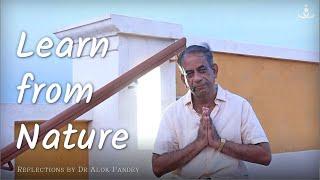 Learn from Nature |  RE 189  |  Reflections by Dr Alok Pandey