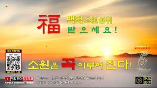 【소원성취기도/ 복 받으세요】금전운 재물운 시험 합격 사업번창 소원을 들어주는 福백억소원성취 一切唯心造 (GwangDeokTemple)