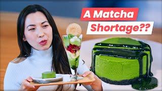 Is Matcha Disappearing? | Where to Enjoy AUTHENTIC Matcha in Tokyo!