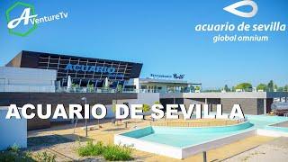 ACUARIO DE SEVILLA (Séville) Most beautiful aquariums in the world