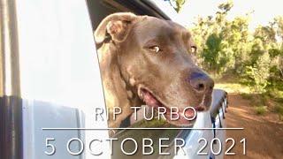 RIP Turbo 5 October 2021