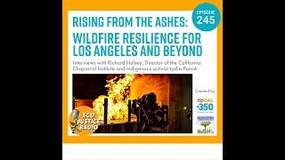 Rising from the Ashes: Wildfire Resilience for Los Angeles and Beyond