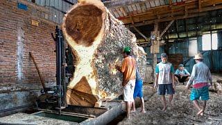 awesome!! tamarind wood worth 50 million from Maluku I Sawmill ~ furniture class