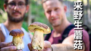 Picking Mushroom 这么贵的蘑菇随便采？采蘑菇的大男孩上山找到超多鸡枞，户外生火做猪肉炖鸡枞也奢侈了Eng Sub