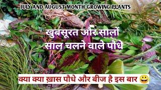 plants cutting and seeds for my viewers/ July and August month growing plants