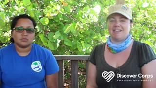 Belize: Wildlife Volunteer Adventure with Discover Corps