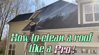 How to clean a roof like a pro!