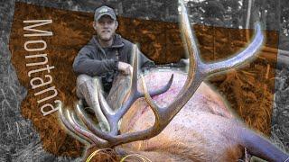 A public land grind! Bow hunting elk (Eastmans' Hunting TV)