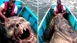 If These Creatures Were Not Filmed No One Would Have Believed It!